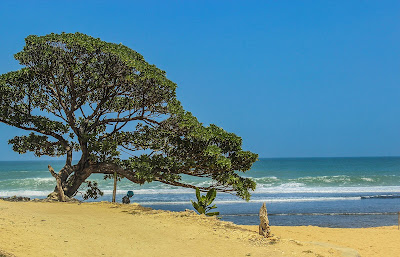 Pantai Pok Tunggal