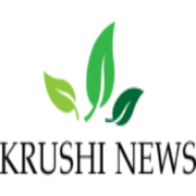 टोमॅटो लागवड तंत्र,टोमॅटो लागवड,टोमॅटो लागवड रोग व किड नियंत्रण,रोपवाटिका,टोमॅटो रोग व किड नियंत्रण,#कृषी विभाग रोपवाटिका योजना,टोमॅटो लागवड माहिती,सुधारित पद्धतीने वांगी लागवड,पुण्यश्लोक अहिल्यादेवी रोपवाटिका योजना,शेडनेट मधील टोमॅटो लागवड,संत्रा,कारली दोडका कोबी फुलकोबी टोमँटो मुळा भोपळा लागवड,वांगी लागवड तंत्रज्ञान,रोग व किड नियंत्रण,आंबा लागवड व छाटणी तंत्रज्ञान,फ्लॉवर किंवा फुलकोबी लागवड तंत्रज्ञान,वांगी पिकासाठी काटेकोर शेती,इस्राईल तंत्रज्ञान आंबा लागवड,रोप,फुलकोबी रोप व्यवस्थापन,फवारणी