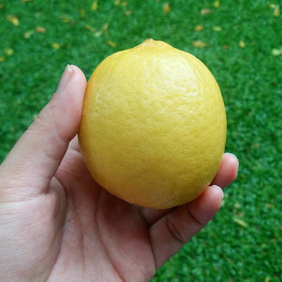 Lemon sangat baik untuk kesehatan kulit