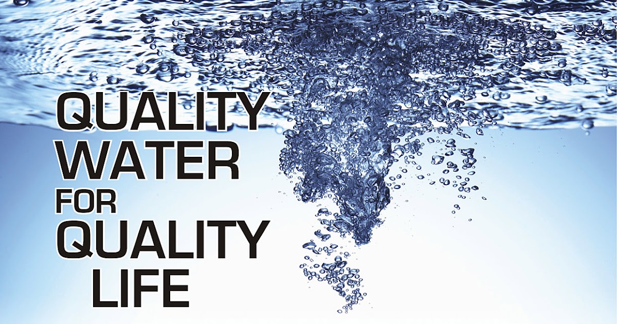 PurePro® WF30 Whole House Water Filter System