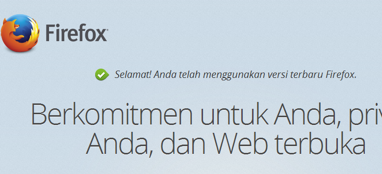 Web Browser Mozilla Firefox Web Browser Mozilla Firefox