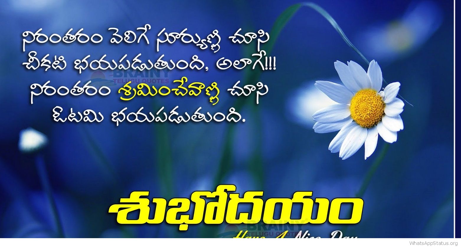 good morning images in telugu