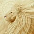 Mark of the Lion III | Poetry of Light