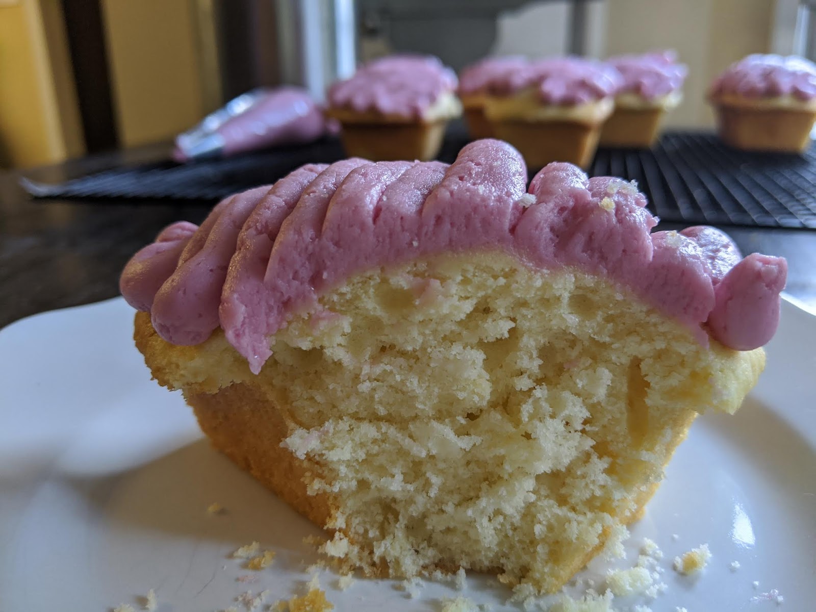 Hibiscus Buttermilk Cakes for thecakeslicebakers