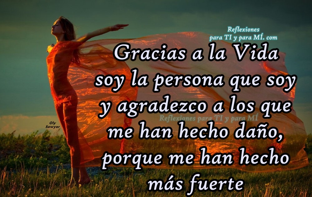 Reflexiones para TI y para MÍ: * Gracias a la Vida soy la persona que ...