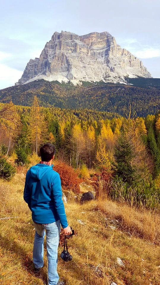 foliage veneto autunno