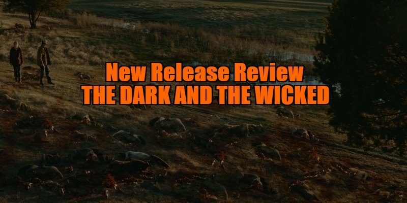 The Dark and the Wicked review