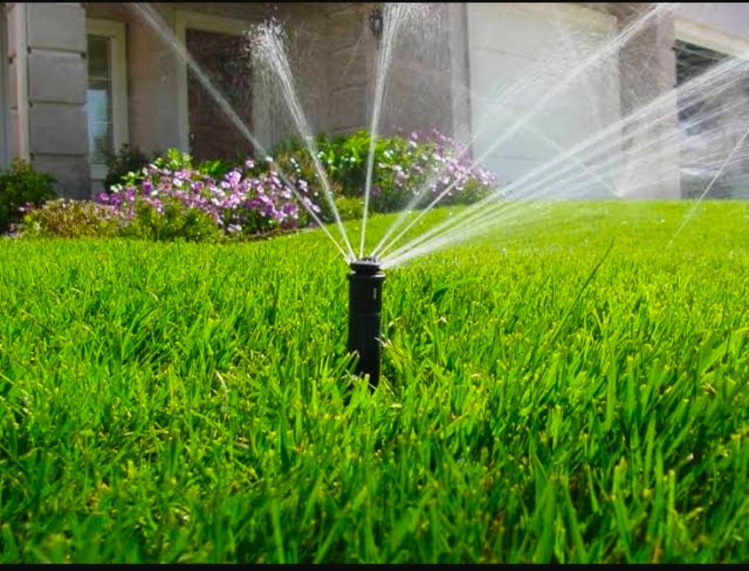 Perbaiki Sistem Penyiraman Taman Untuk Pertumbuhan Tanaman Yang Optimal