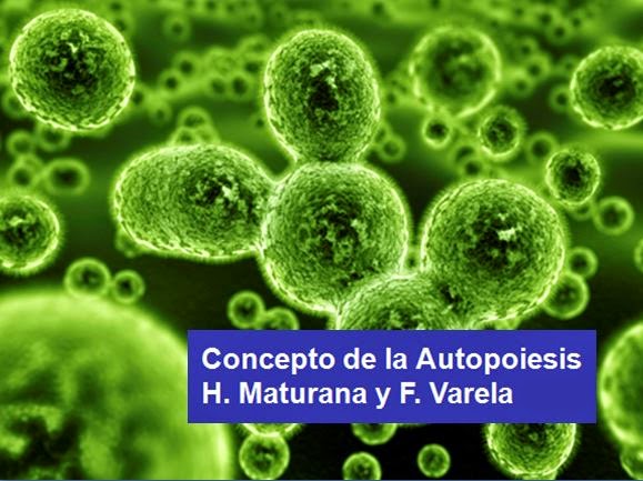 AUTOPOIESIS