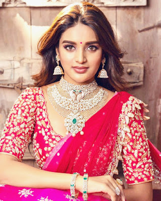 Nidhhi Agerwal (Indian Actress) Biography, Wiki, Age, Height, Family, Career, Awards, and Many More