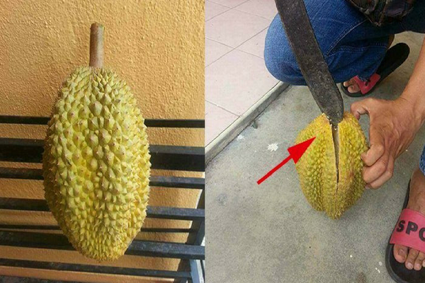 Pria ini Beli Durian Seharga 15 Ribu, Saat Dibuka Isinya Bikin Nangis Lihatnya
