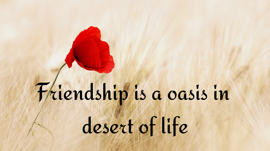 [Best] 50 Cute Status for Friendship