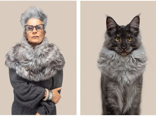 Un fotógrafo compara retratos de gatos y humanos