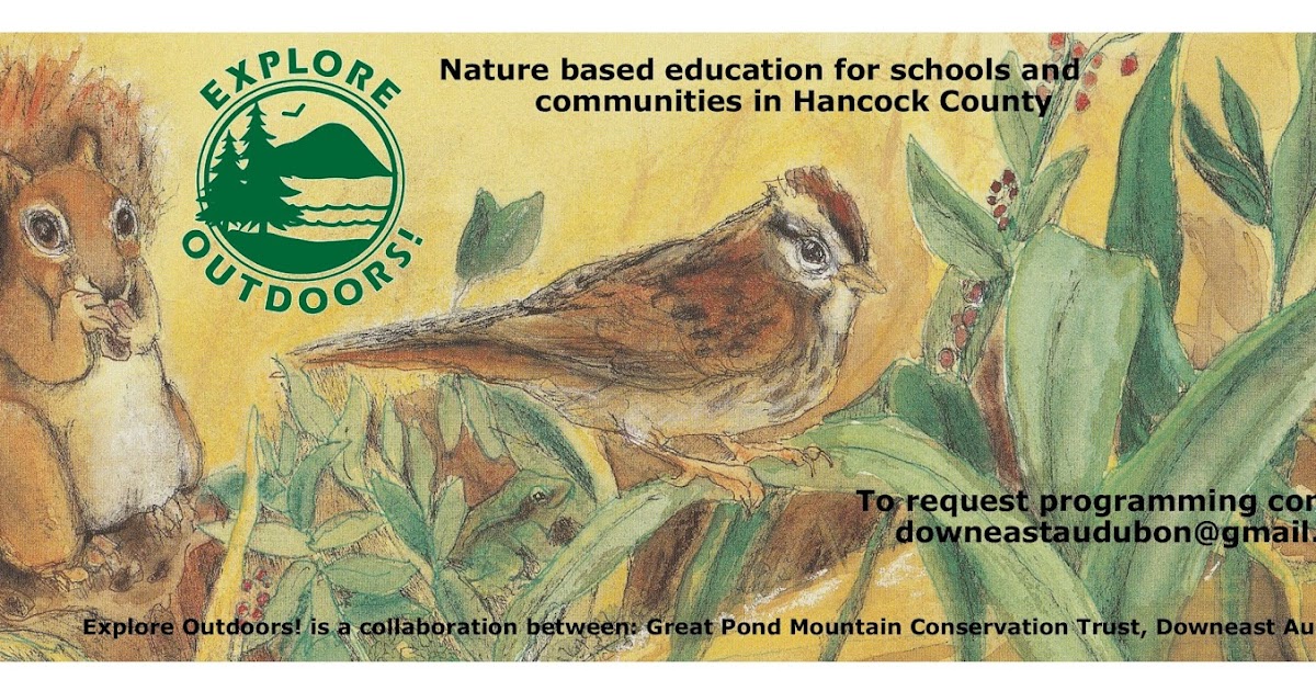 Downeast Audubon Education