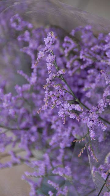 Free purple flowers wallpaper