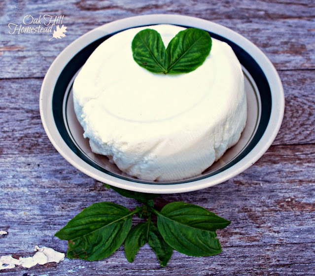 A mound of ricotta cheese with a garnish of basil leaves, in a bowl on a wooden table.