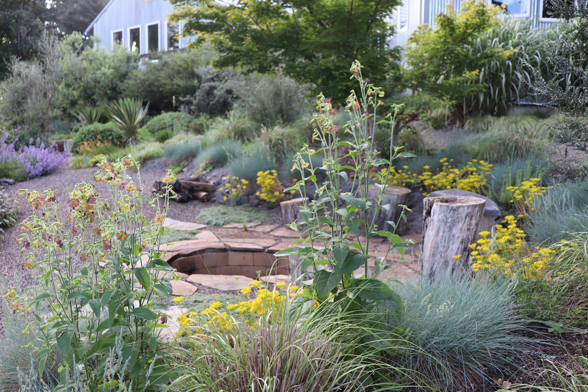 Best of the Garden 2020 A Year in Review