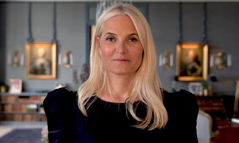 Crown Princess Mette-Marit wore a black, navy embroidery blouse, dress from Vilshenko