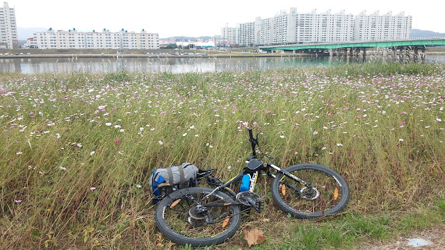 Велопоход вдоль Восточного (Японского) моря Южной Кореи