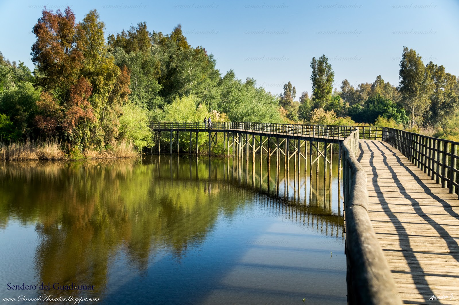 Foto de Corredor Verde del Guadiamar en Carrión de los Céspedes, Sevilla