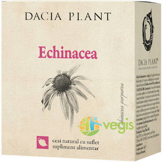 Ceai De Echinacea Ceai De Echinacea