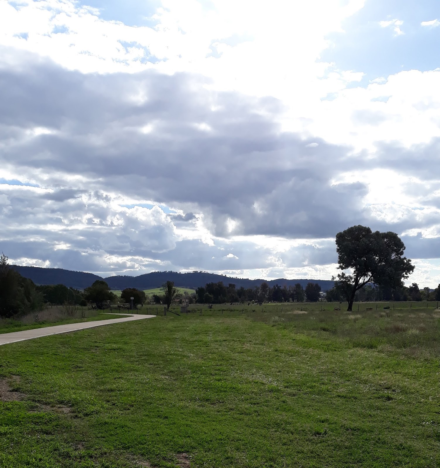 Wombat Stew 5 April 2019 Trip to Mudgee!