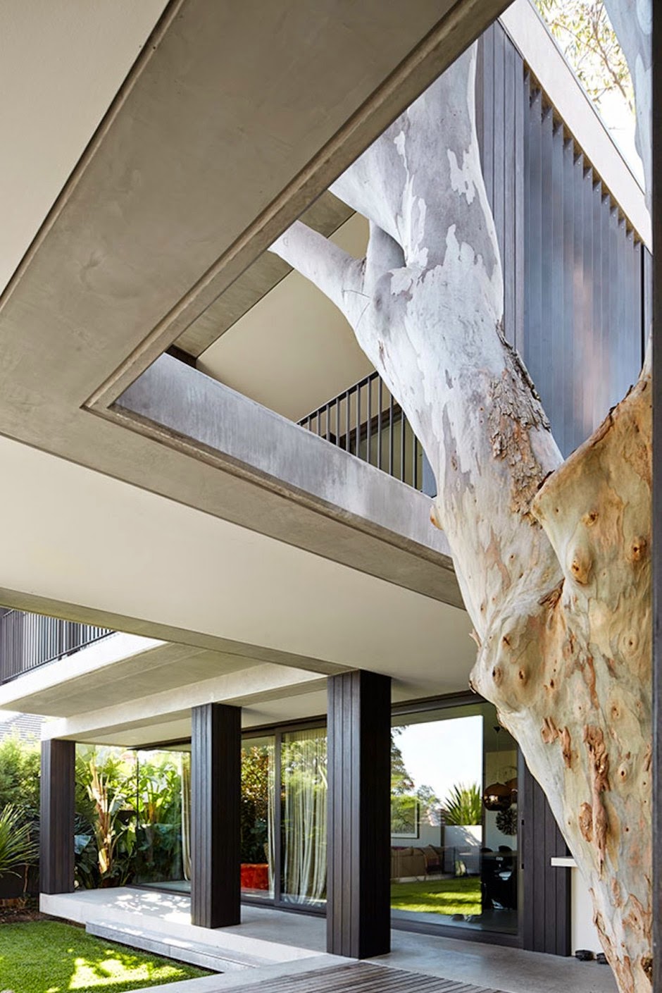 Eksterior Rumah Modern Yang Kreatif Dengan Melestarikan Pohon Yang