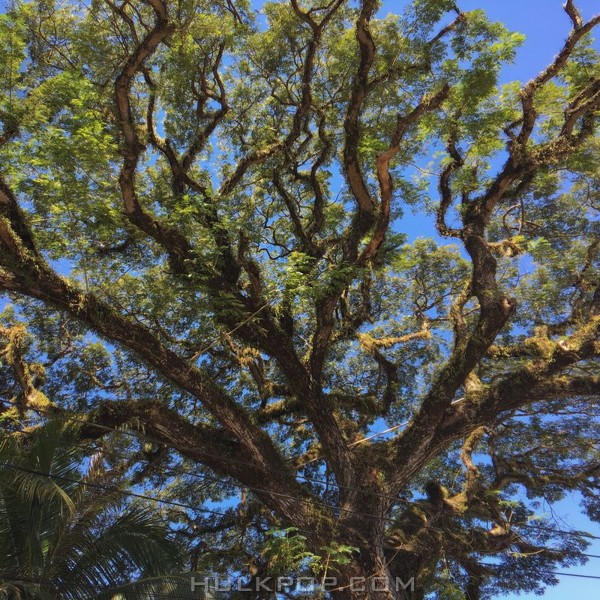 bak dong – Mountains and Water – EP