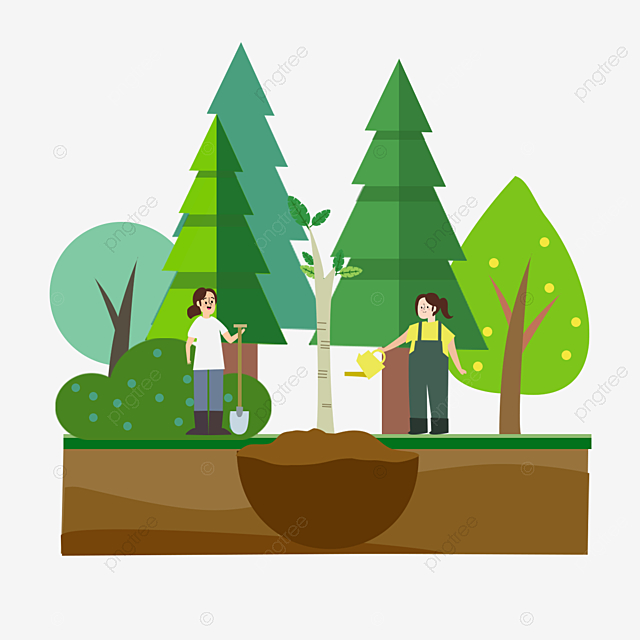 Mid America Shopper Tree Spade Service