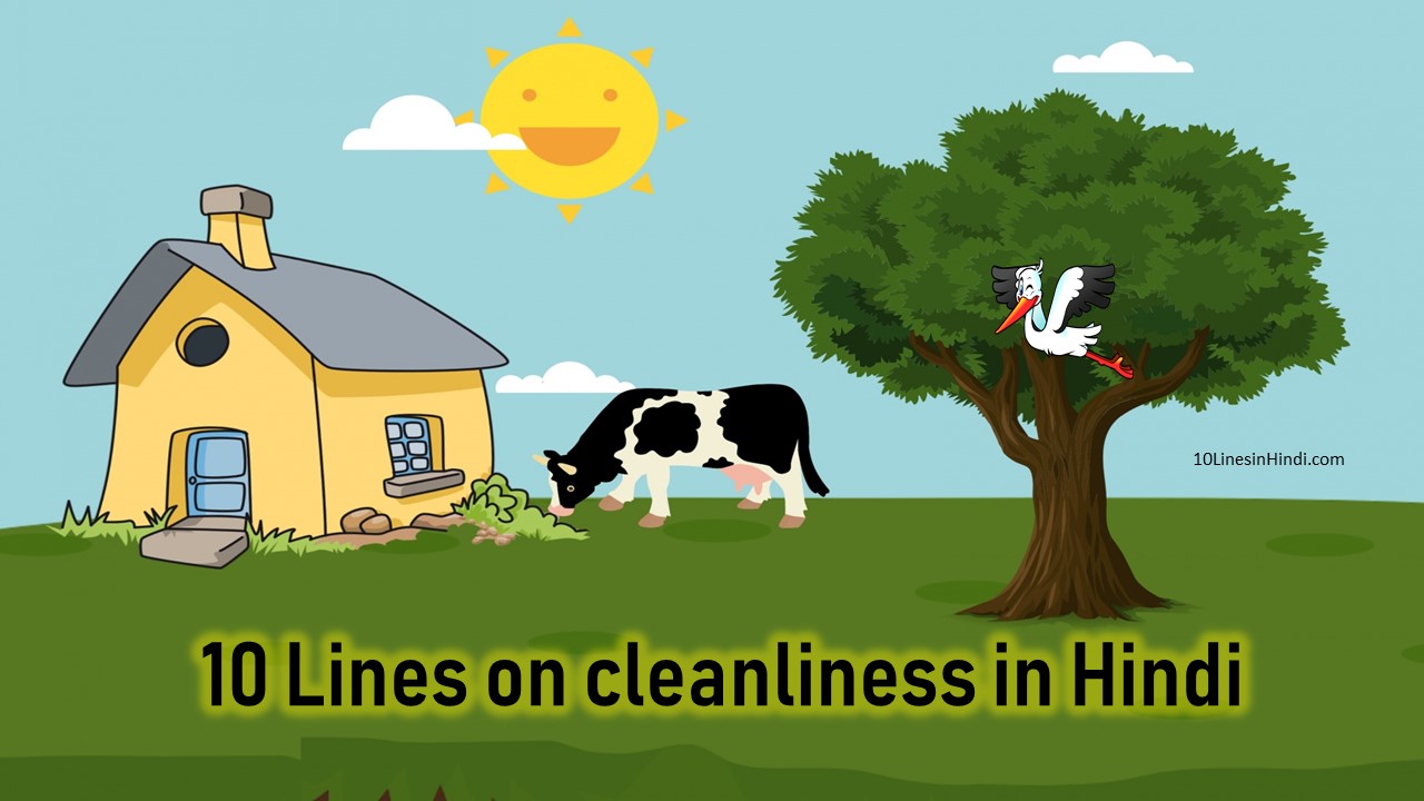 10 Lines in Hindi 10 Lines About Cleanliness in Hindi