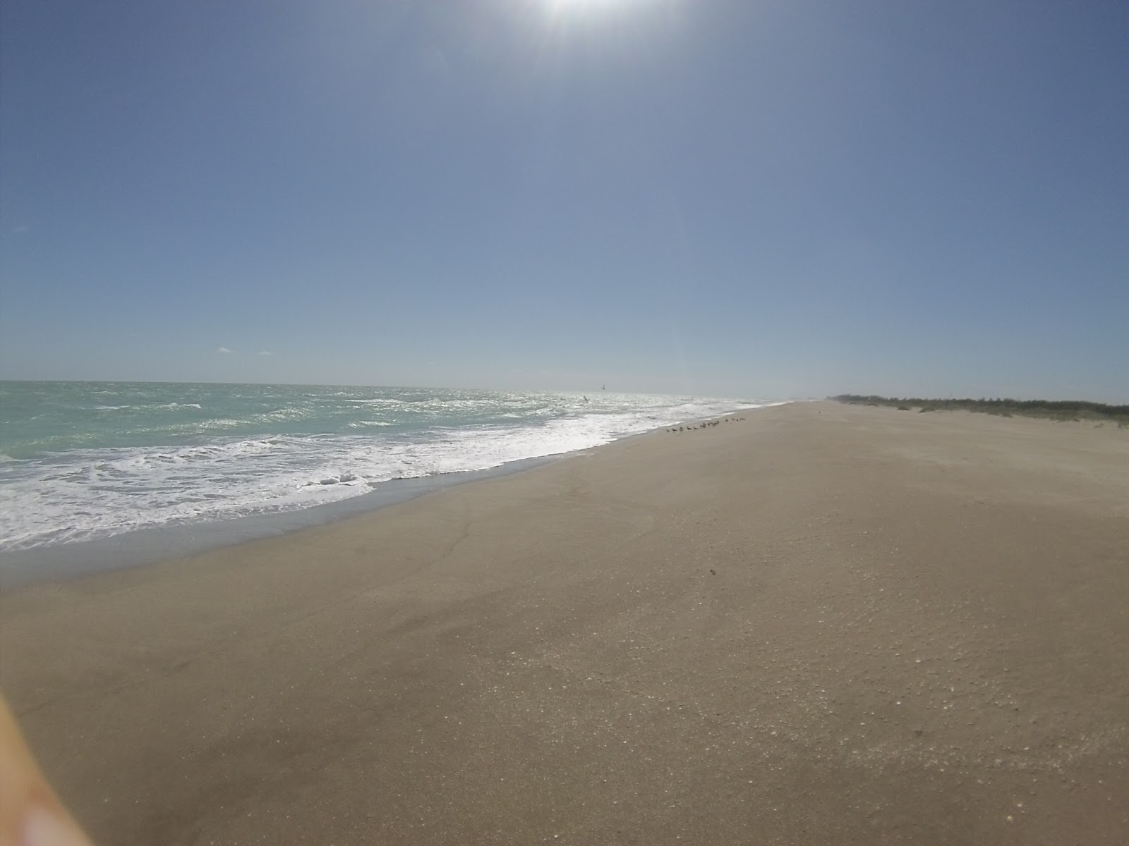 The Treasure Beaches Report Direct From Florida's Treasure Coast. 3/14