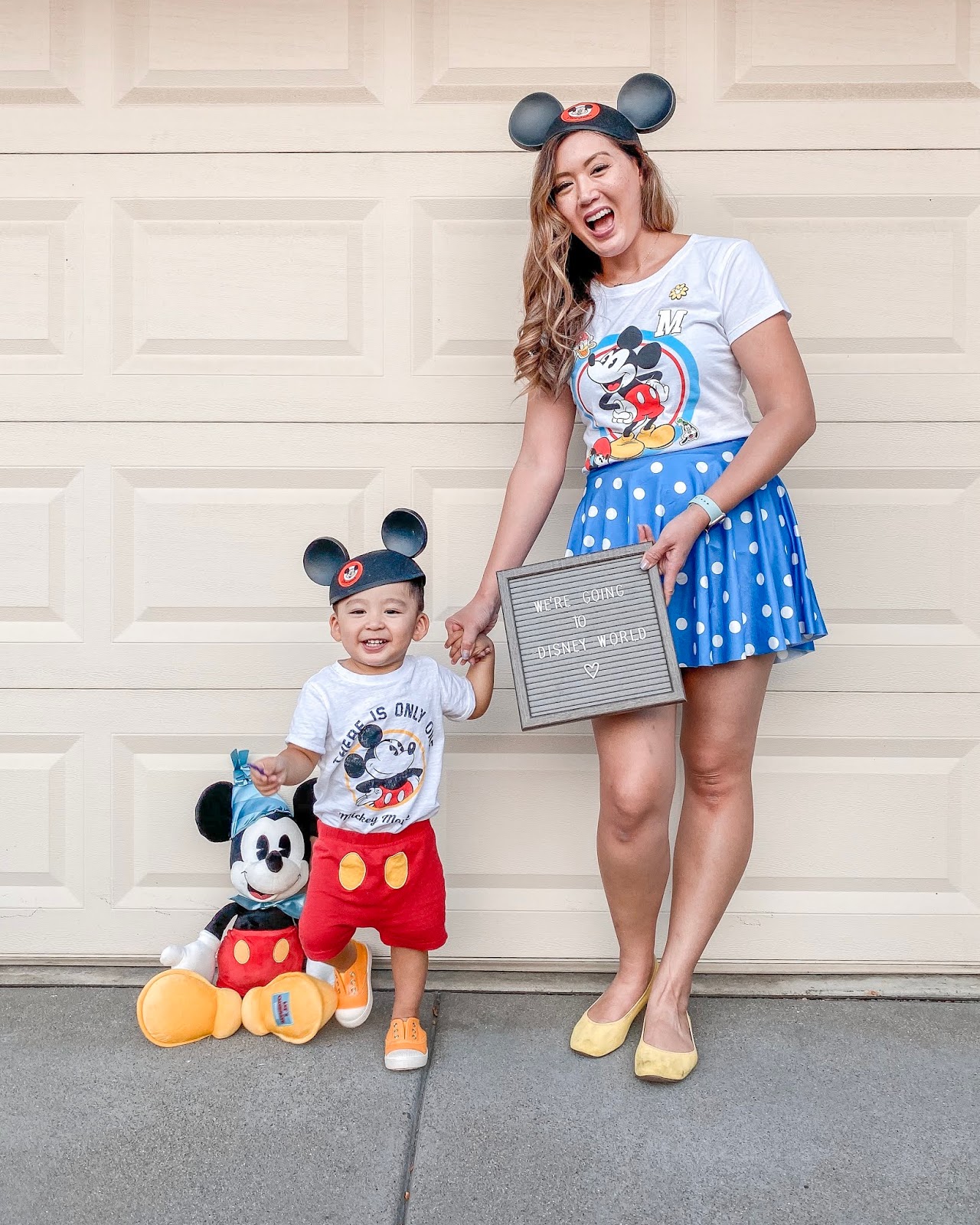 How to Plan a Trip to Disney World for Adult Families - Periodic Adventures