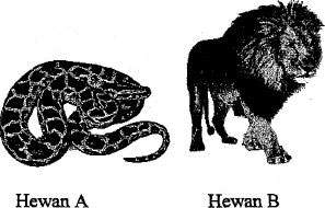 Hewab vertebrata: ular dan singa