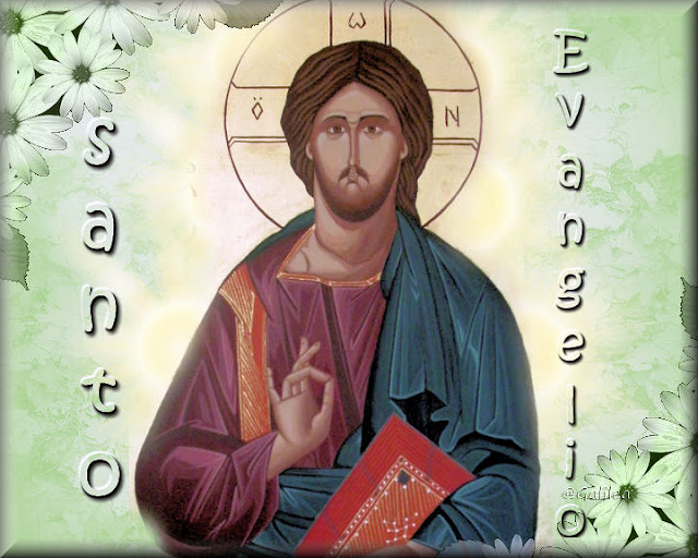 Corazón de Jesús en Vos Confío Santo Evangelio 19 de Junio 2016