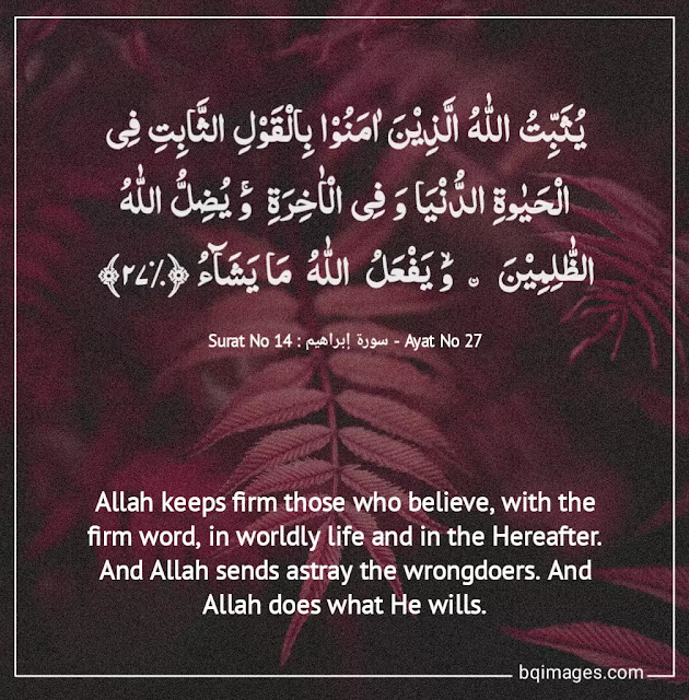 Beautiful Quran Quotes About Life