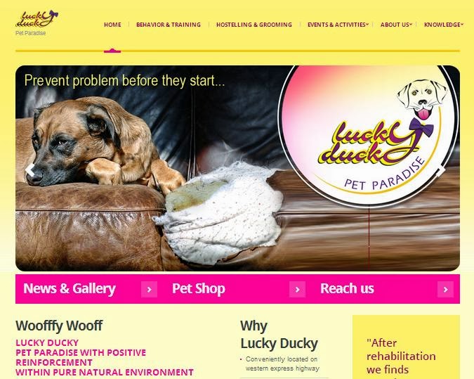 www.luckyducky.in