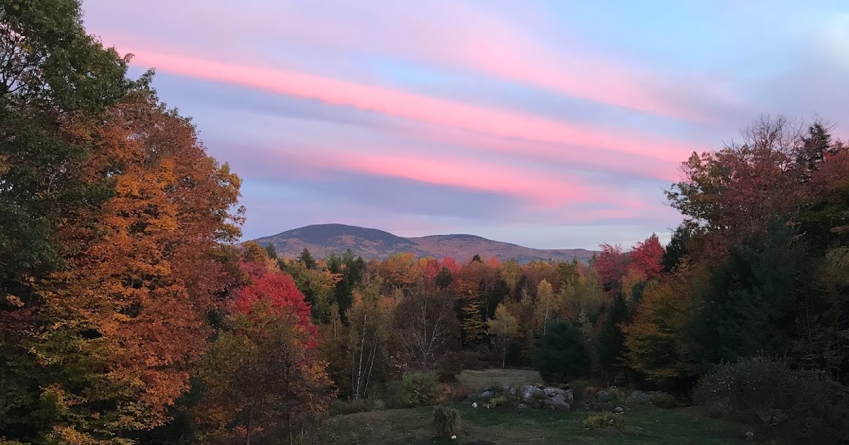 Fall Colors In New England This Year