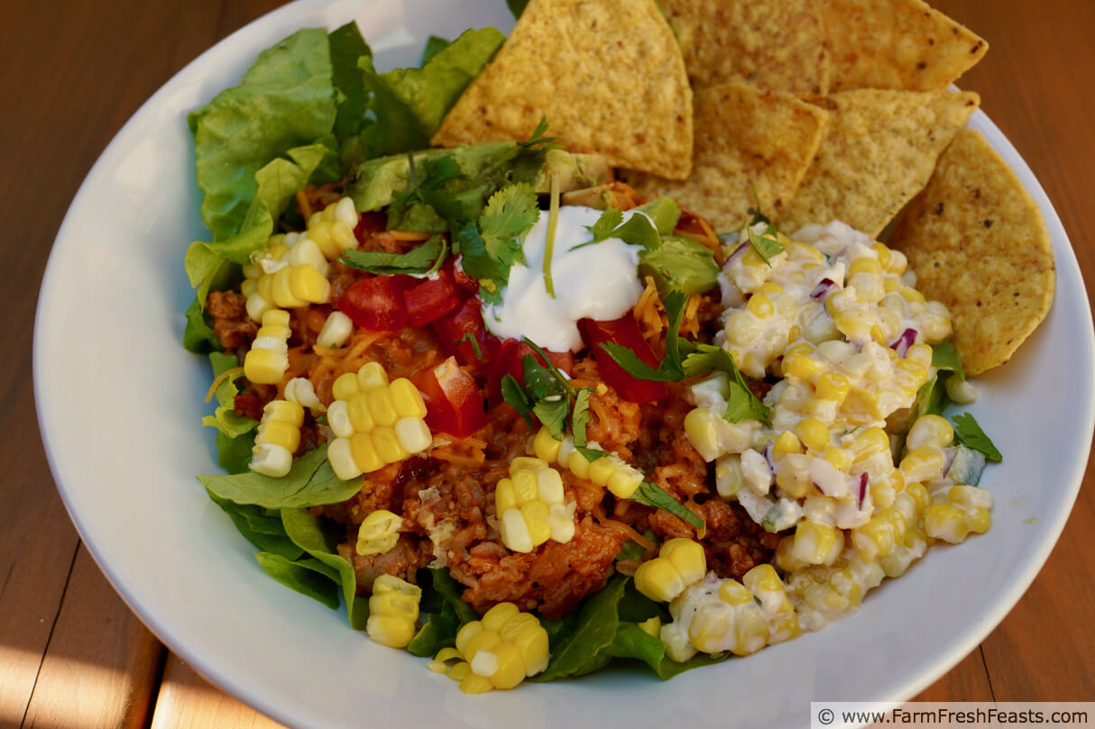 Farm Fresh Feasts Instant Pot Taco Rice