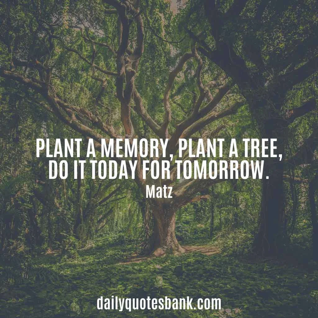 Inspirational Quotes About Planting Trees For Future Generations