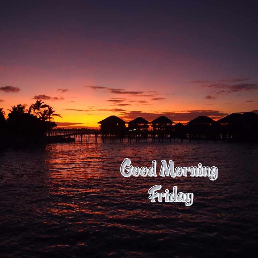 happy friday pictures