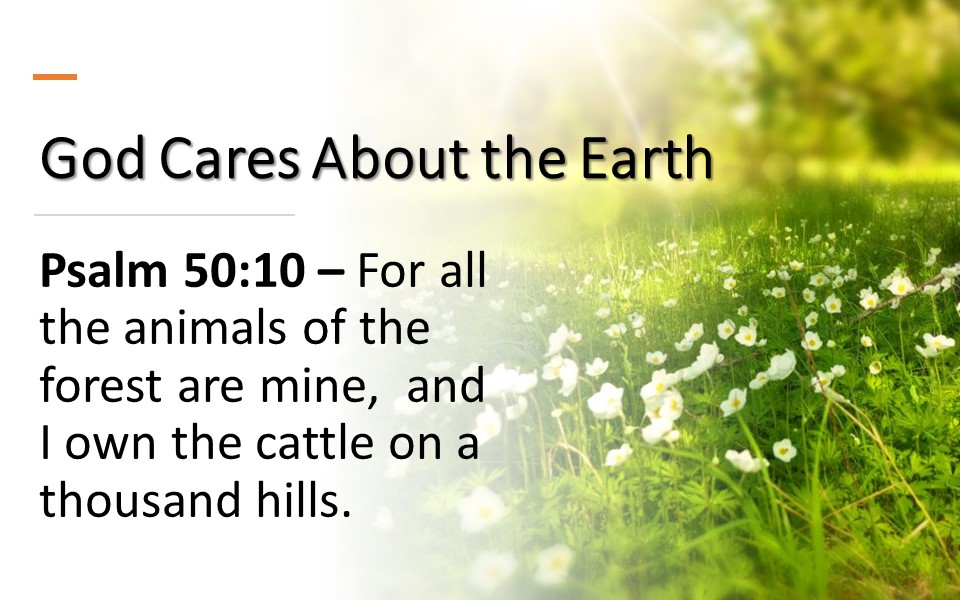 Pastor Chris' Blog: Stewards of the Land - God's Green Earth, part 1