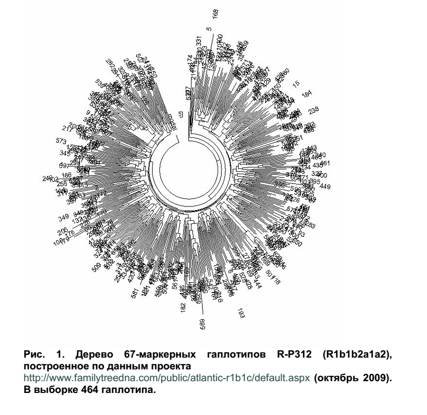 происхождение славян днк генеалогия. родословная николая 2. днк генеалогия славяне клесов. происхождение славян днк генеалогия. днк славян.