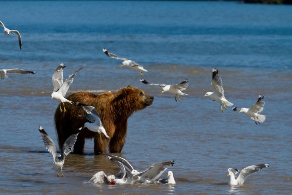 As belas fotos de viagem de Rodislav Driben Rodislav Driben 500px fotografia viagens natureza cultura