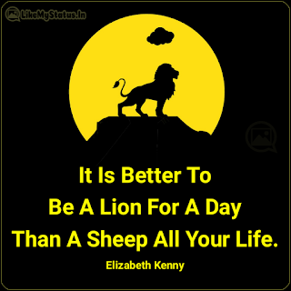 It Is Better To Be A Lion For A Day Than A Sheep All Your Life. - Elizabeth Kenny