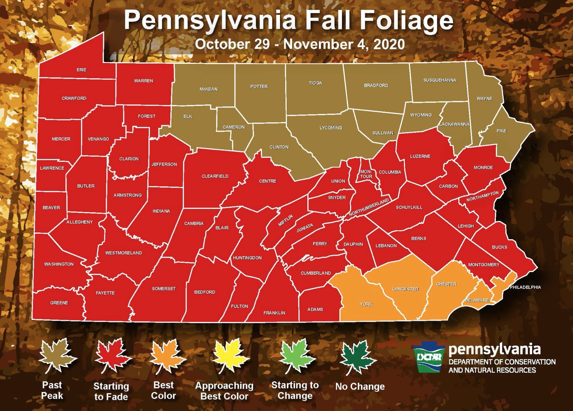 PA Environment Digest Blog DCNR’s Last Fall Foliage Report Shows Fall