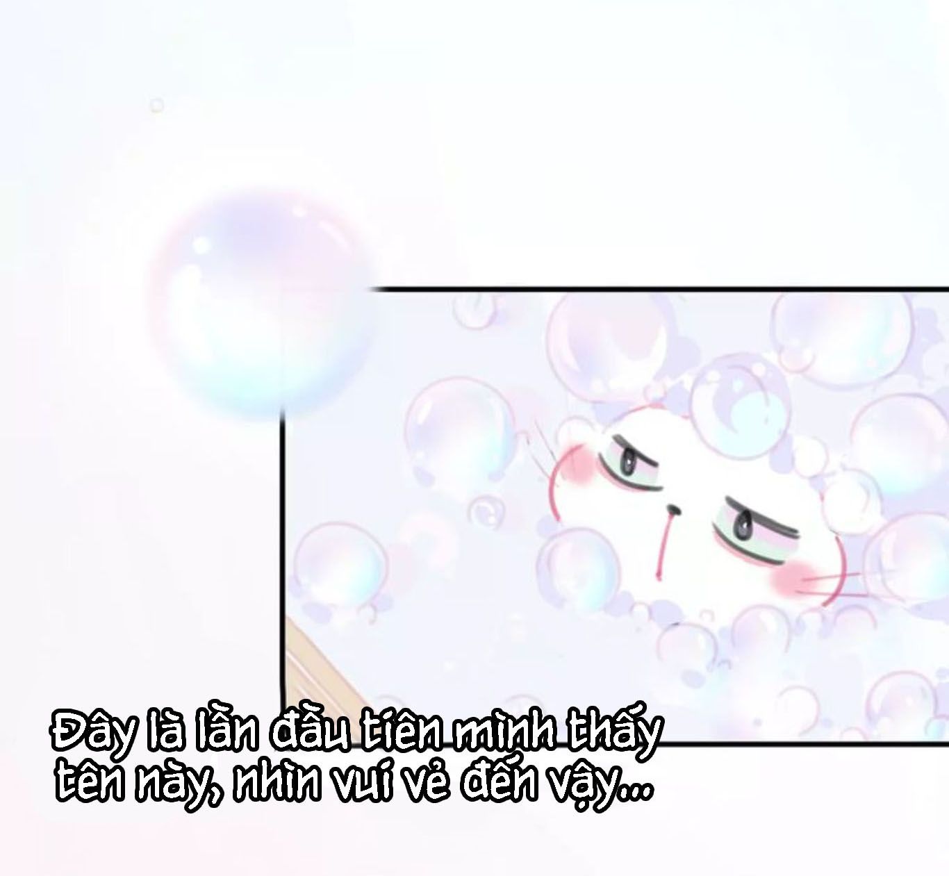 Đọc truyện Thế giới của một chú mèo - Chapter 6