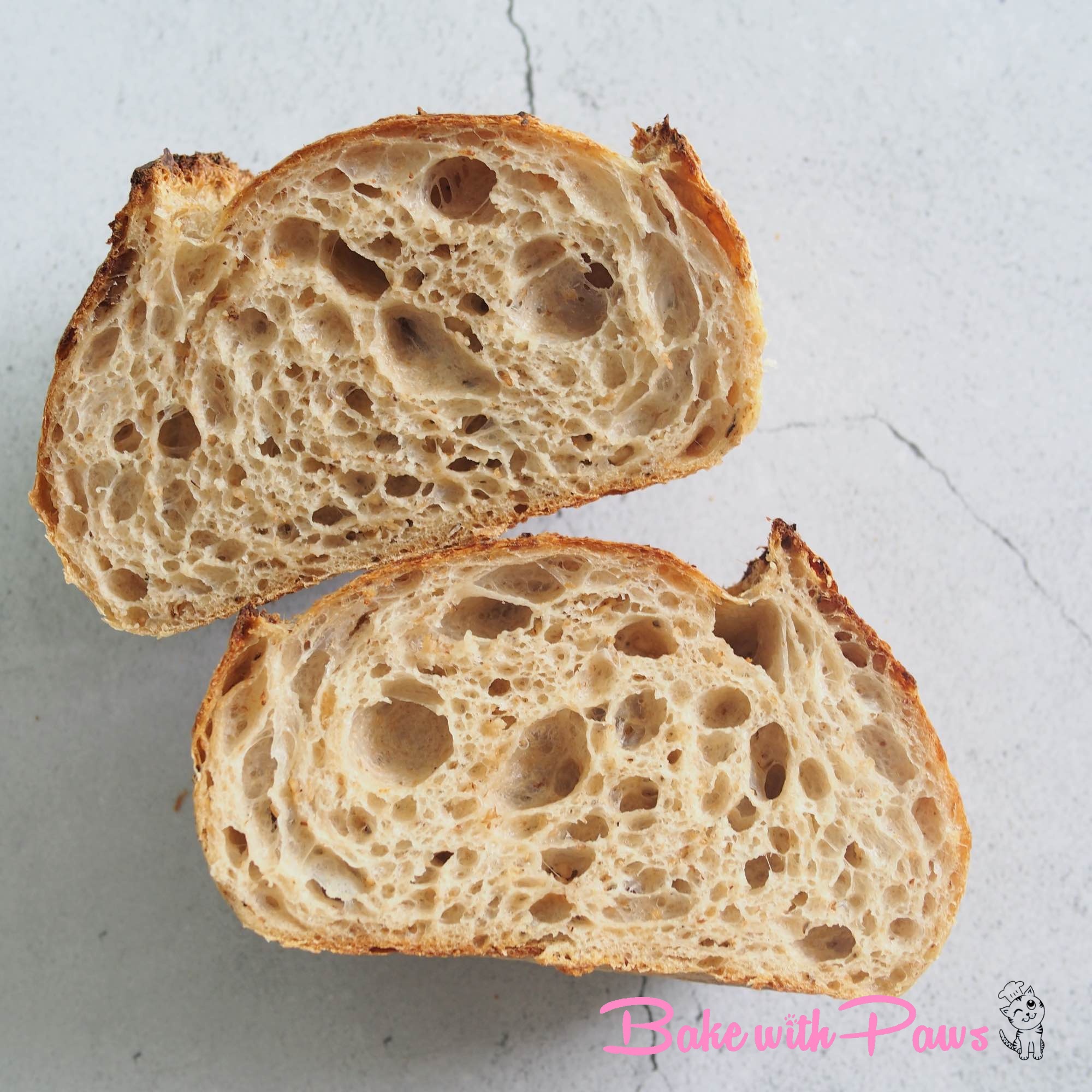 Butter Toasted Oat Porridge Sourdough Bread BAKE WITH PAWS