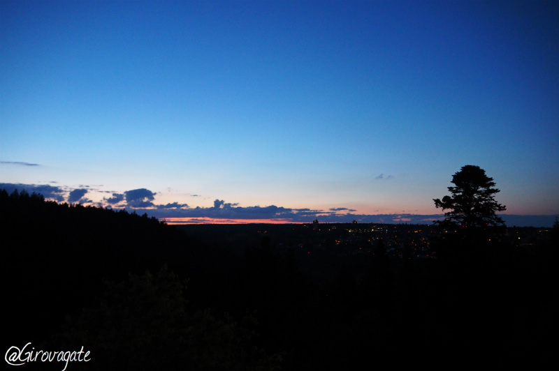 freudenstadt foresta  nera