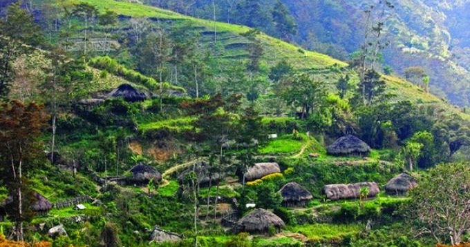 Get 6 Keunikan Rumah Adat Honai Images