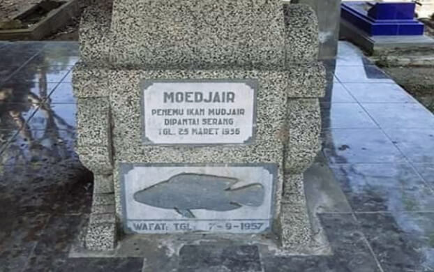 Kisah Mbah Moedjair, Sang Penemu Ikan Mujair - Santos Blog